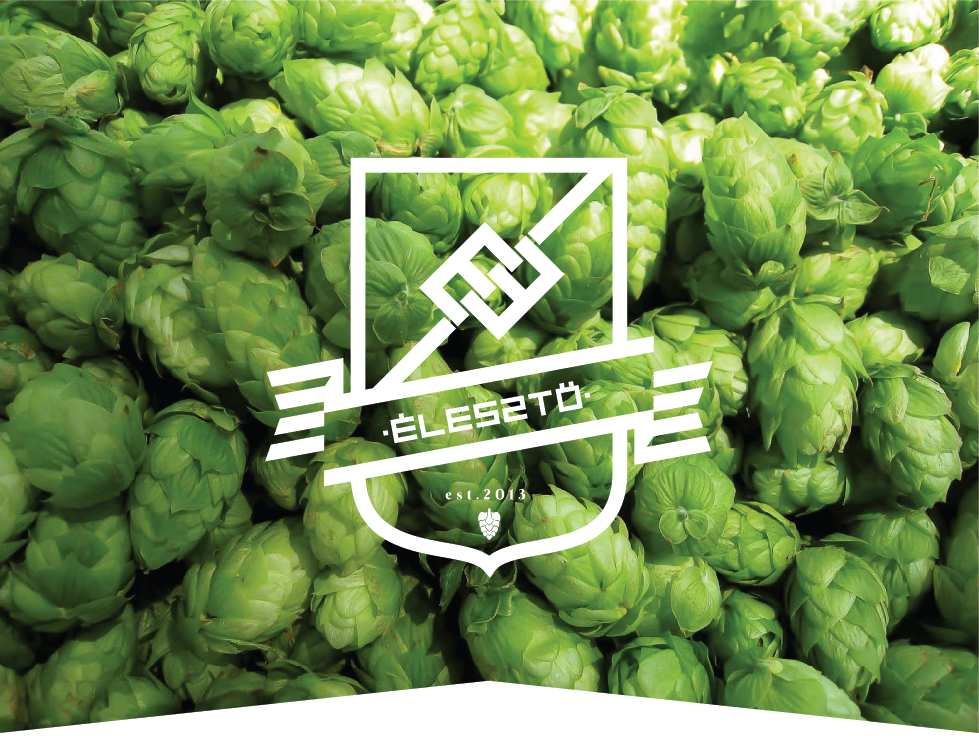 identity graphic beer Logo Design