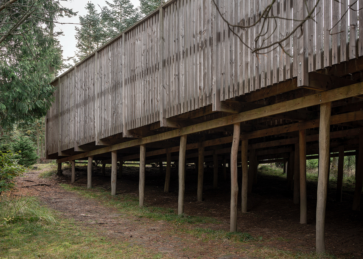 architects architecture indsigten minimal nordic norrøn nødebo school skovskolen wood