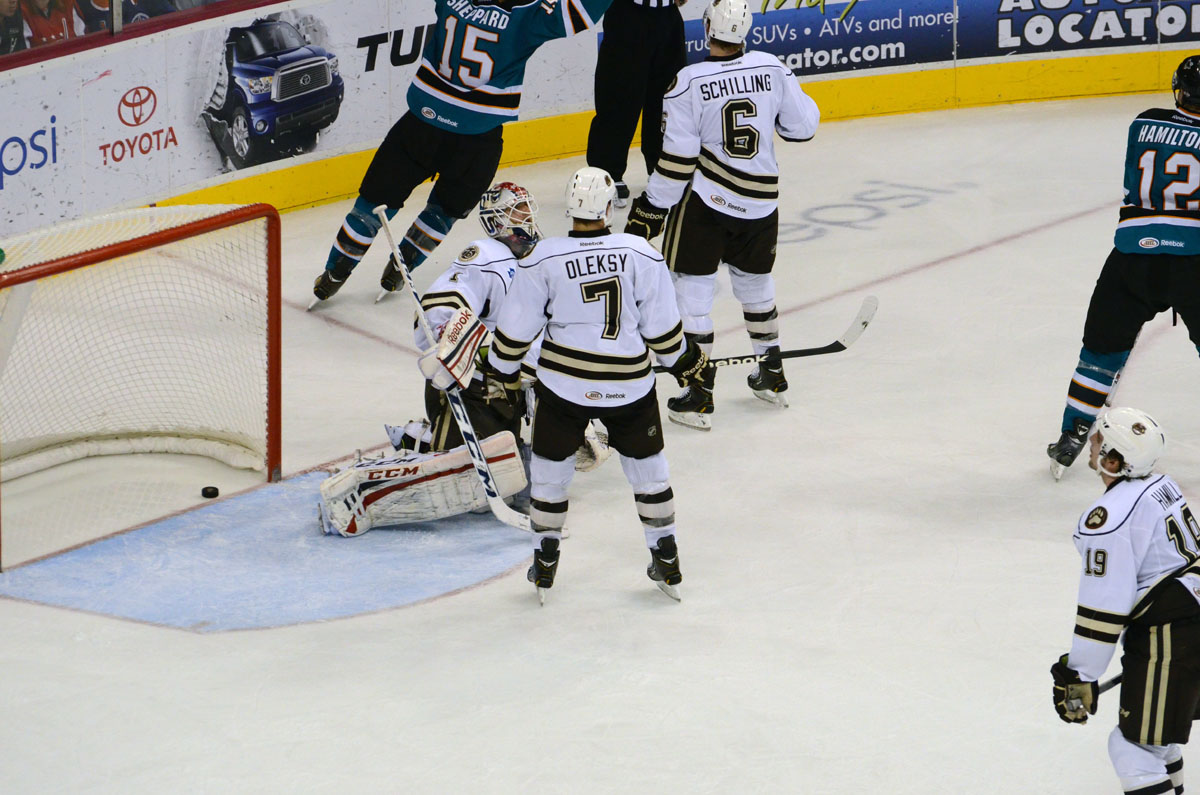 hershey bears washington capitals worcester sharks San Jose Sharks AHL hockey sports sports photography
