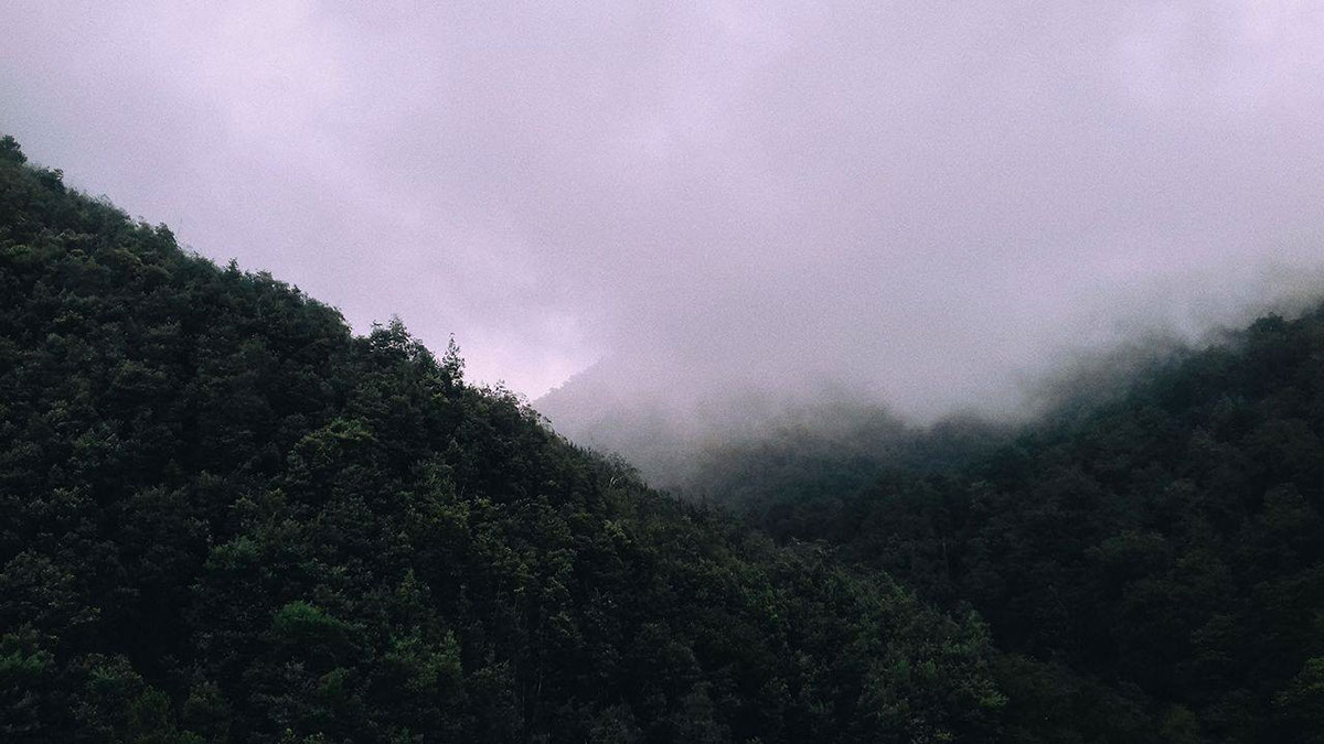 misty mountain mobile photography Photography 