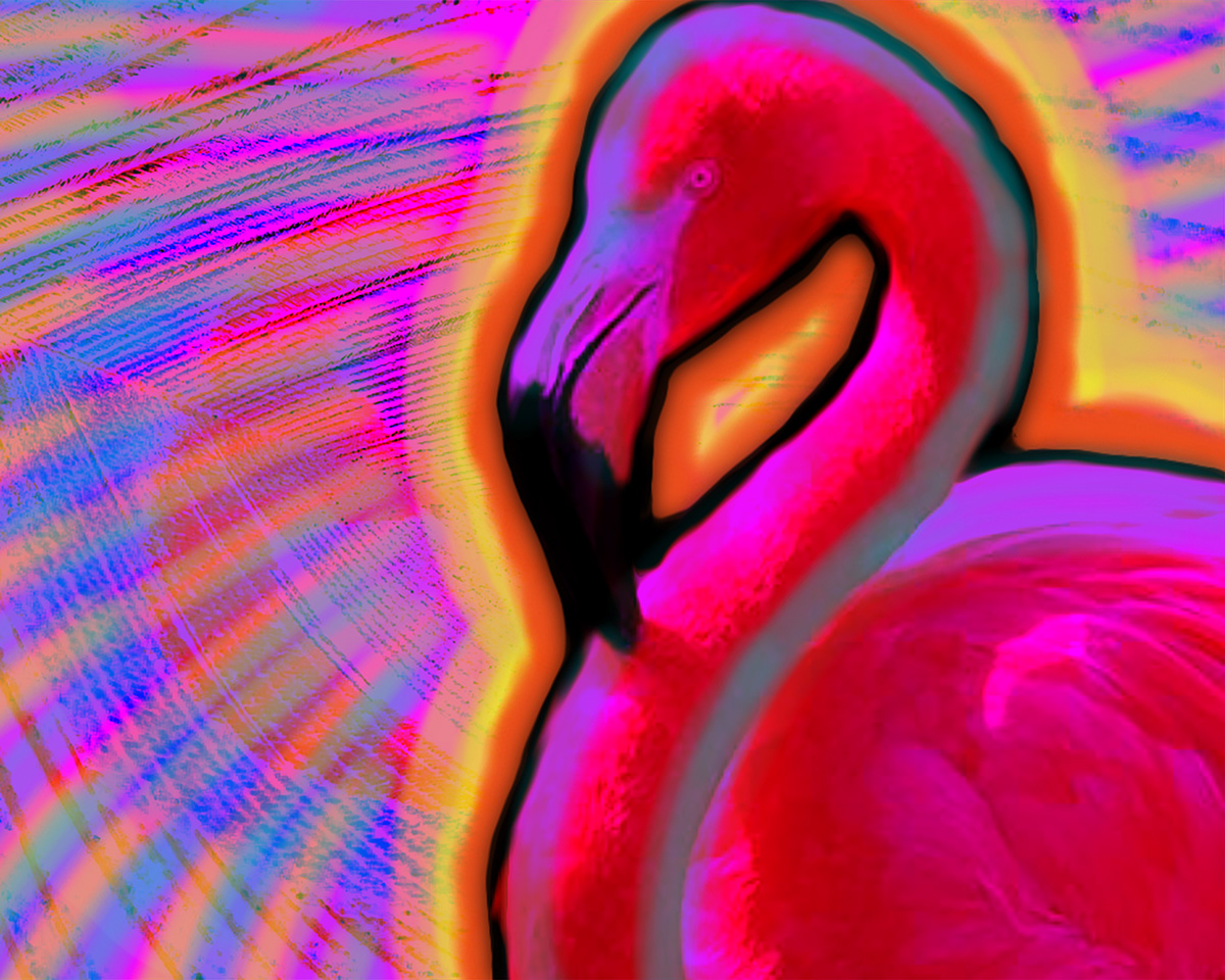 flamingo pink photoshop