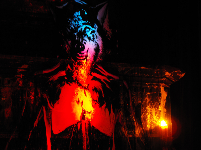 Adobe Portfolio body shade installation shaman wolf light animal human person unconscience plastic house abandoned face