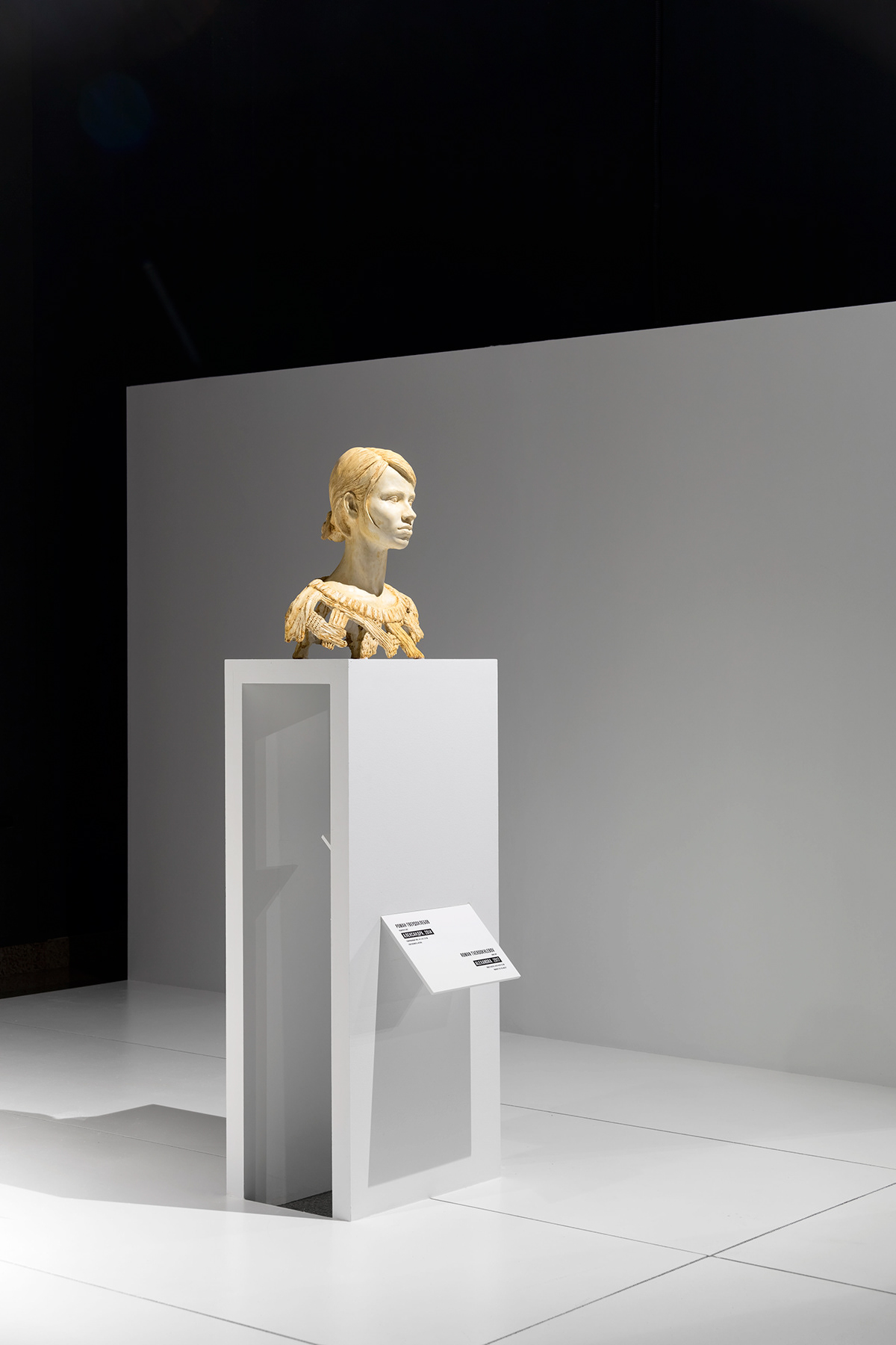 Sculpture portrait in exhibition
