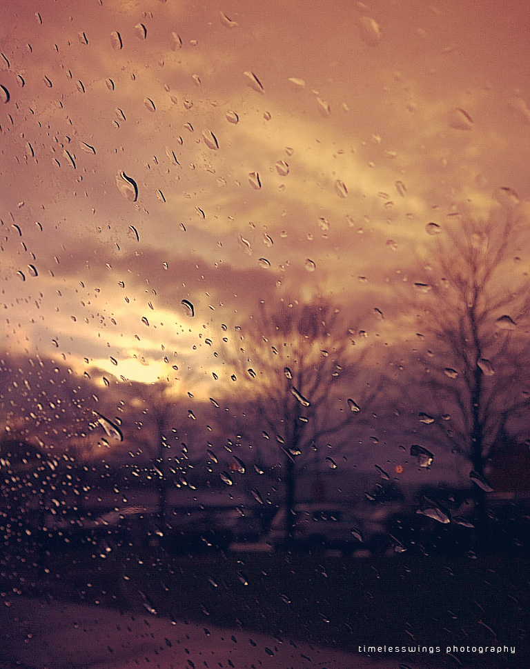 dianacreationz timelesswings photography rain night outside Window Toronto