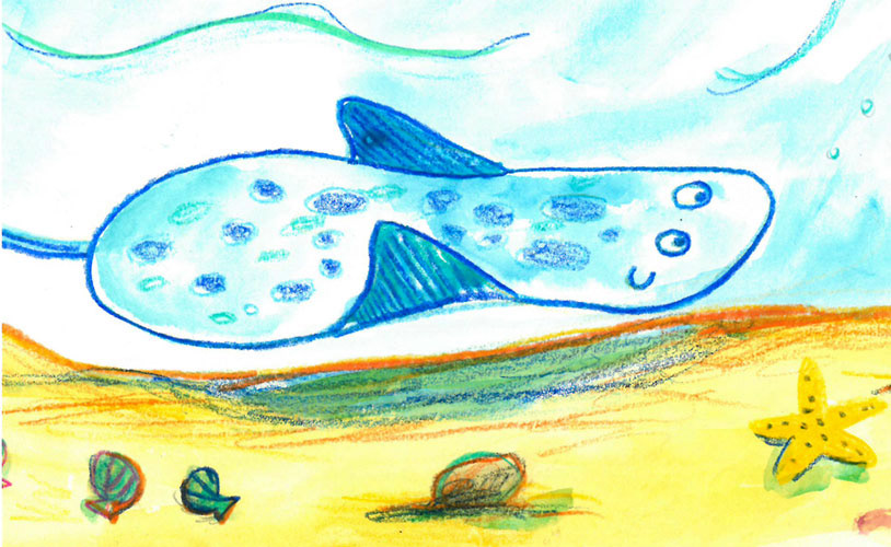 #childrensbooks #art #illustration #mermaids #watercolour  #childrensart #colour #fun #underthesea #fish #seacreatures
