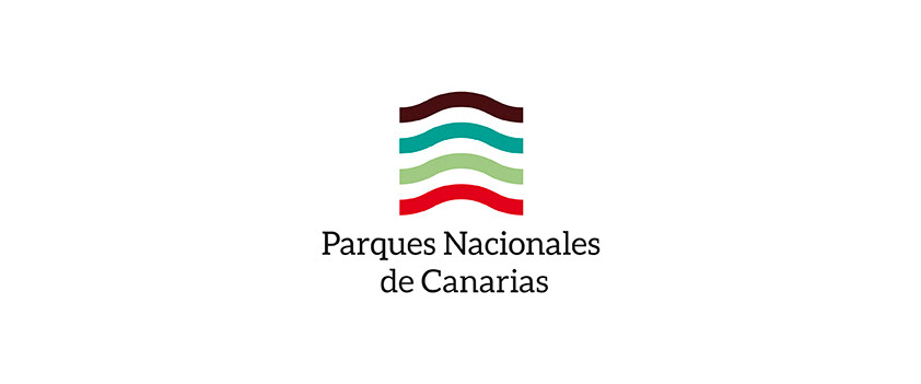 national logo canary Island volcán