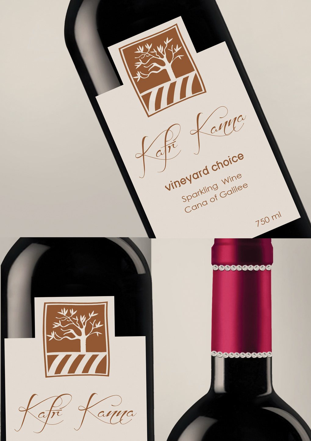 package Pack packaging design wine drink beverage brand logo Logo Design burgundy