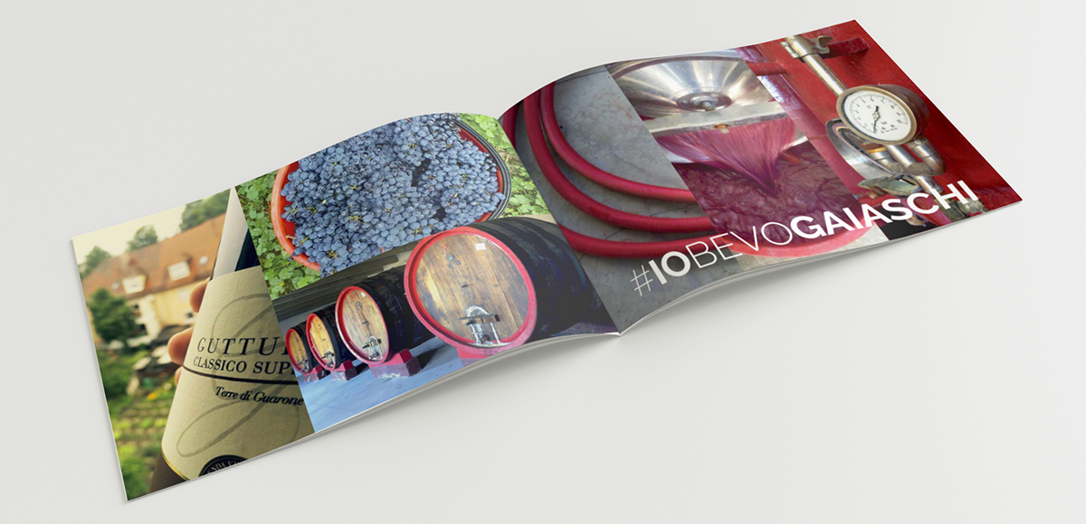 brochure rebranding refresh wine Food  italian wine graphic design  art direction  Photography  green