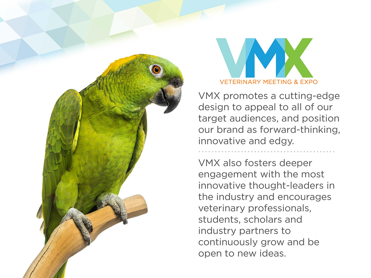 Brand Design branding  Creative Direction  graphic design  logo page layout
