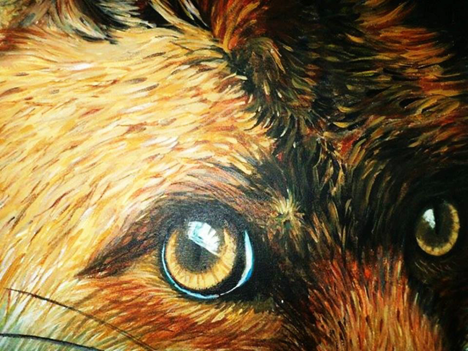 canvas painting acrylic animal animals wolf FOX vixen claire dailo erialcoliad hair stare eyes Pet