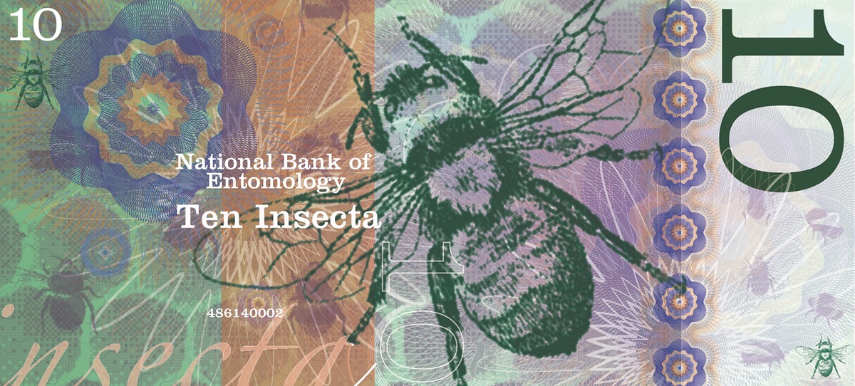 banknotes Insects currency money