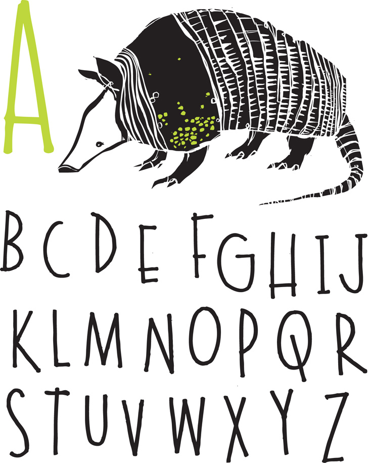 alphabets children animals