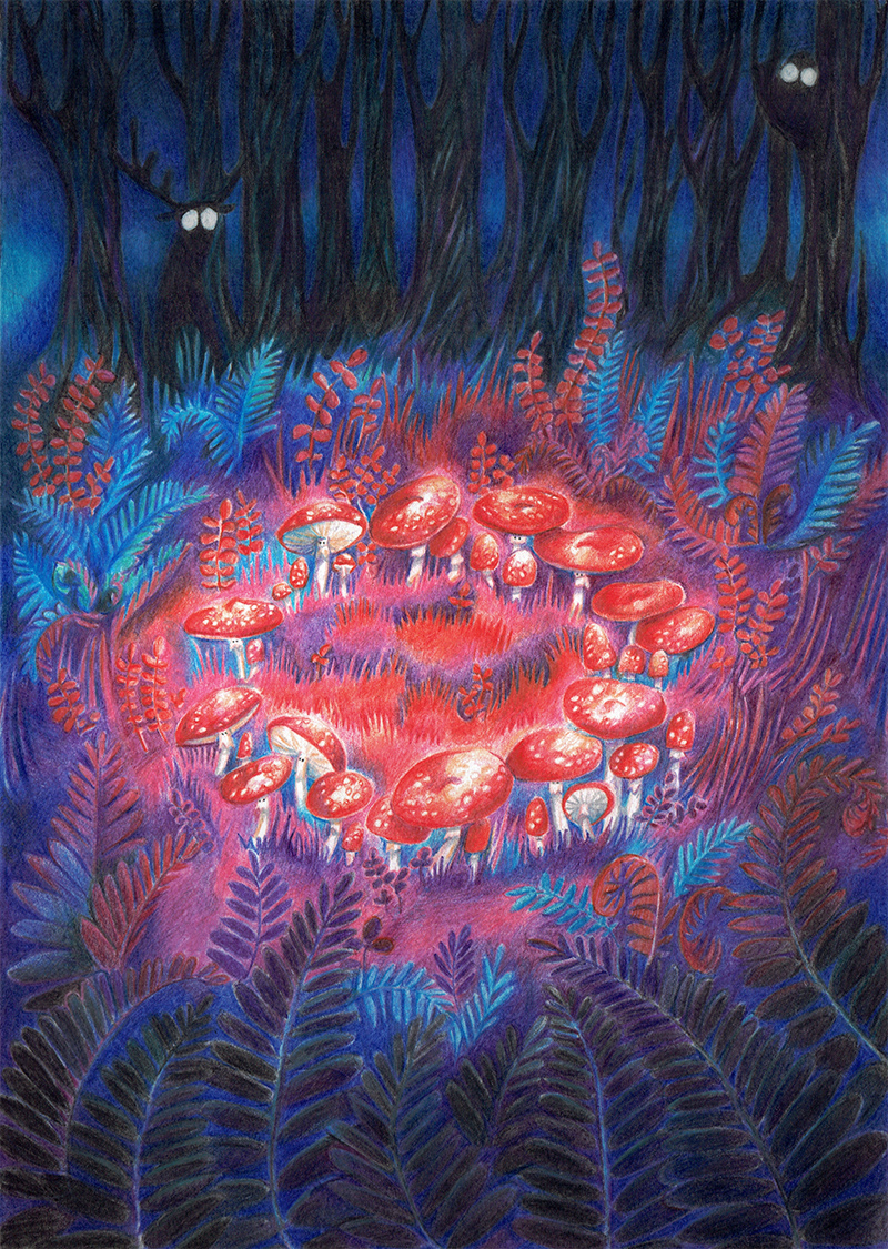Mushrooms forest night Magic   red