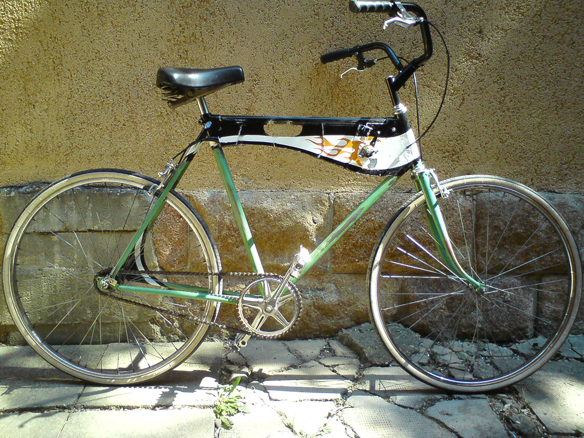 bike design bycicle design custom made custom paint Bike