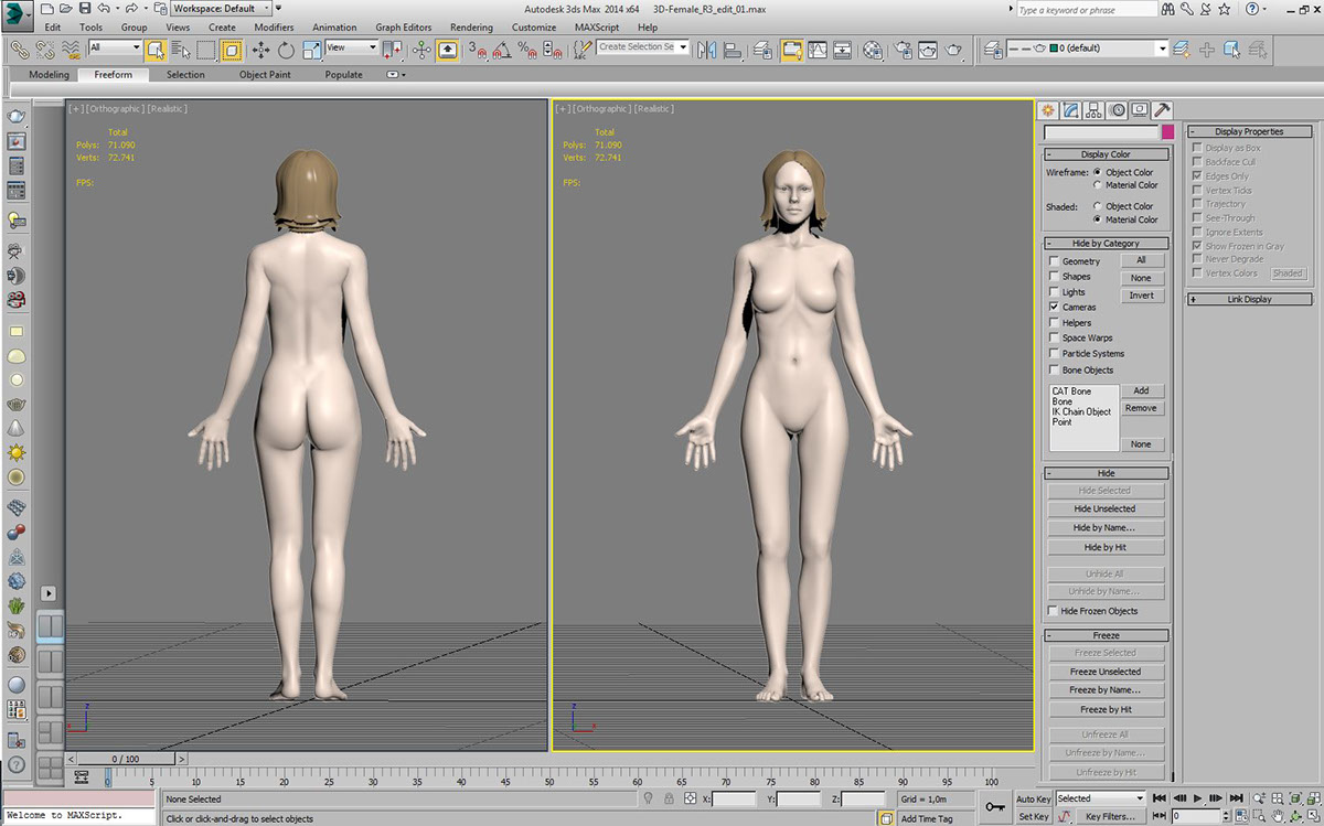 3D modelling Health male female child anatomy man woman