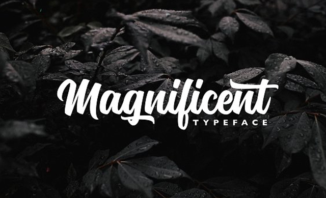 font Typeface free download desing handmade Free font typography   dafont diseño