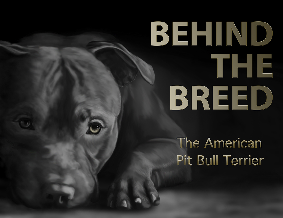 book dog history Pitbull Pit Bull canine