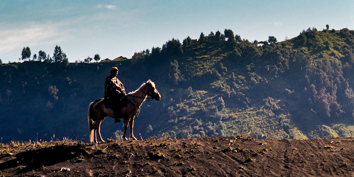Cemoro Lawang  Bromo  Gunung Bromo indonesia  jawa Horseman horse Satumat jawa timur Mount Batok Gunung Batok Pasir Laut