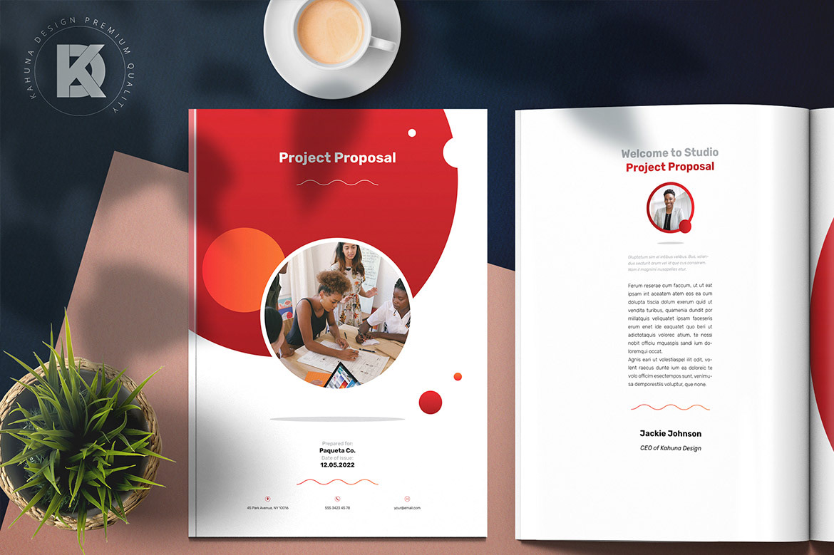 brochure circle concept description Product Options Project Proposal red strategy timeline