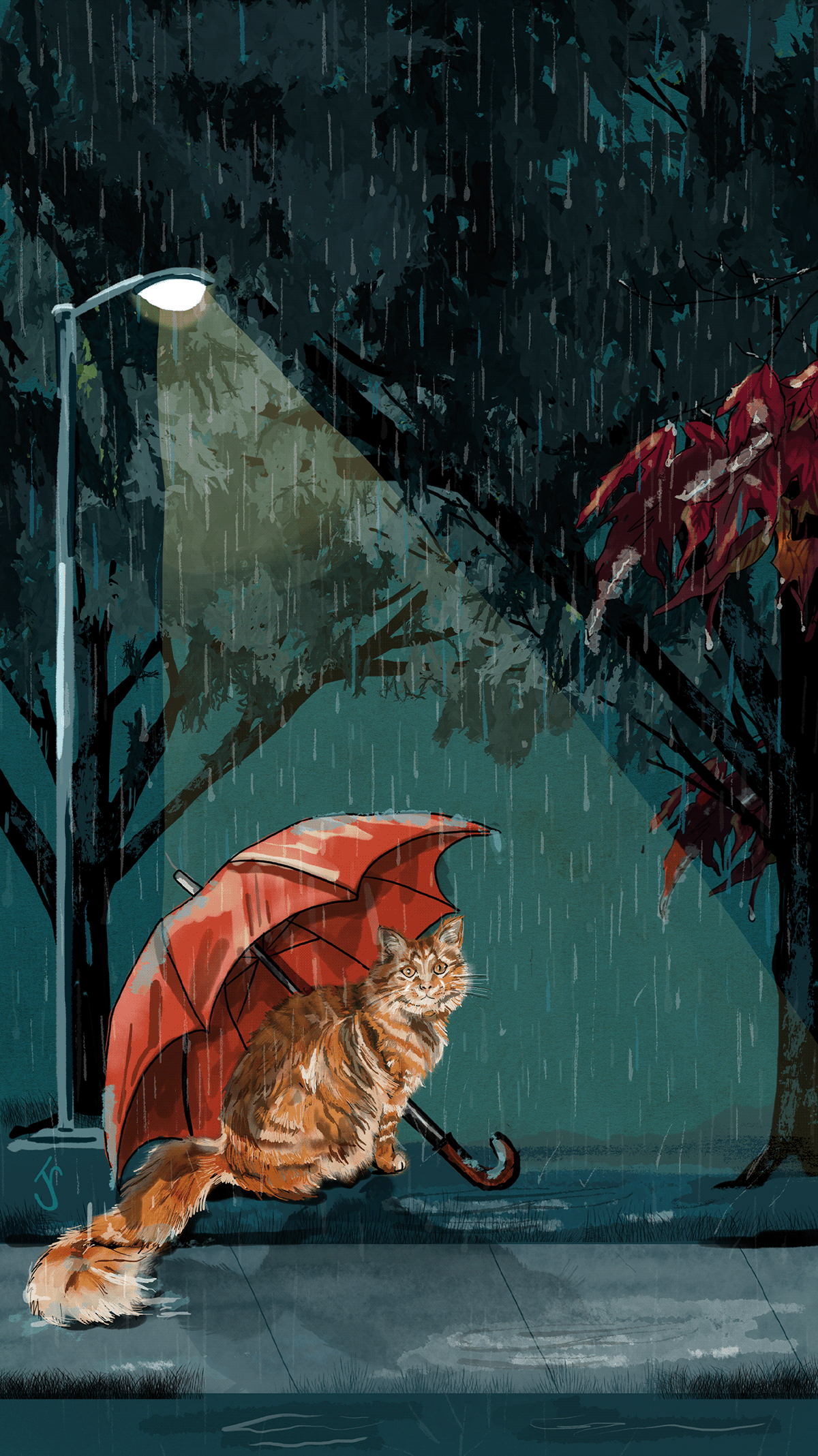adobefresco animal autumn Cat digital illustration Drawing  orangecat rain Umbrella