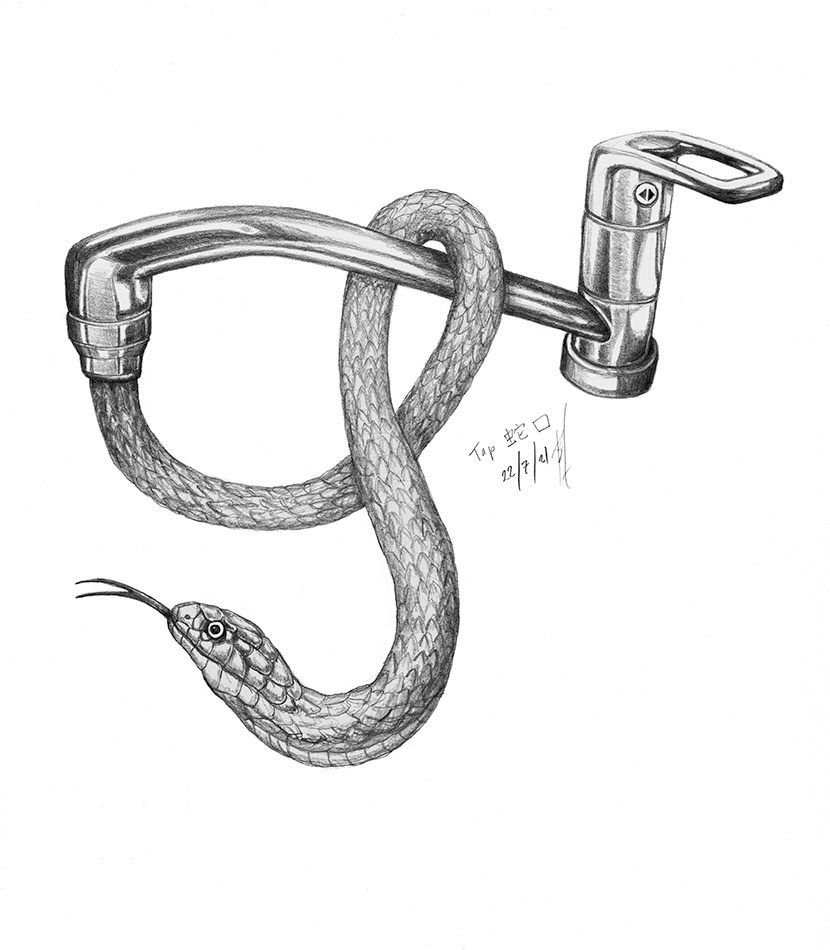 draw Drawing  ILLUSTRATION  pencil sketch snake TAP