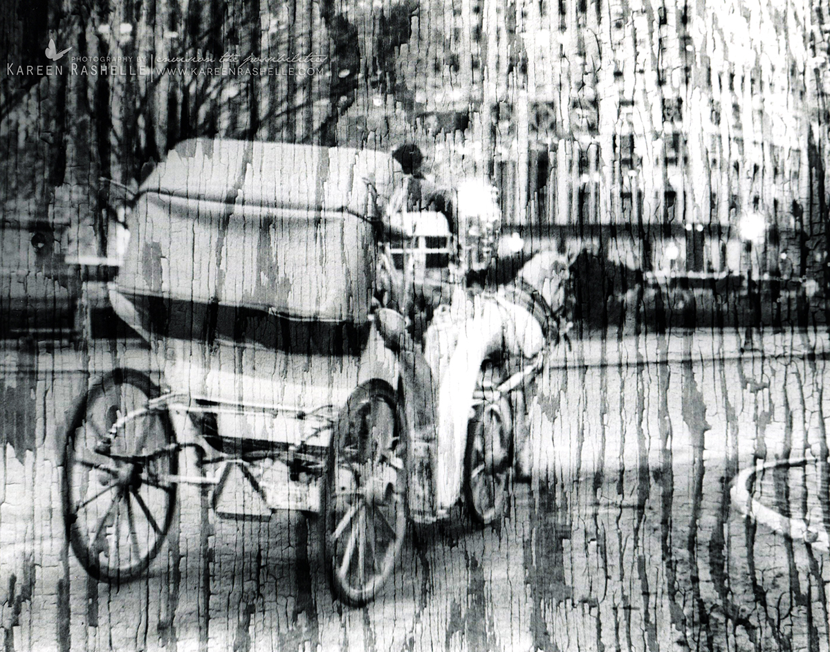 Central Park New York B&W film film photography 35mm film Carriage Ride horse black & white darkroom techniques Sandwiching Techniques N.Y. fine art photography PHOTOJOURNALISM PHOTOGRAPHY street photography textures