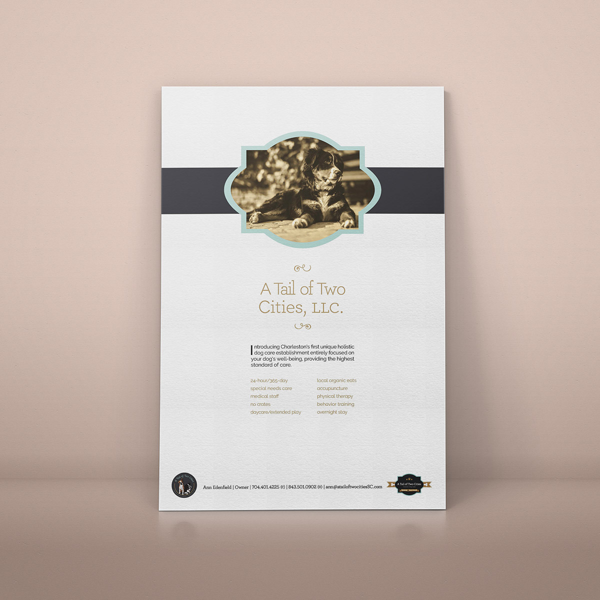 Adobe Portfolio print dog care flyer business card branding  design gold foil luxury
