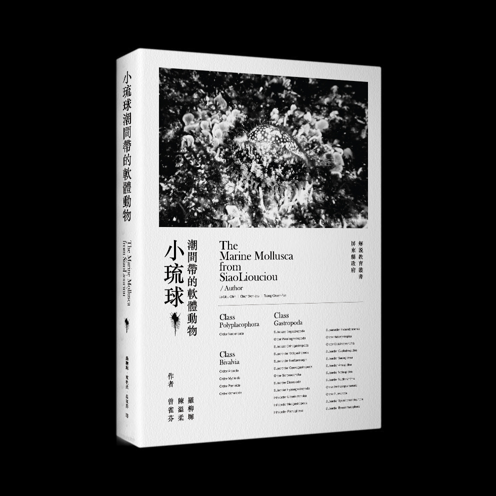 book design editorial sea Ocean taiwan book biology ILLUSTRATION  圖鑑 生物