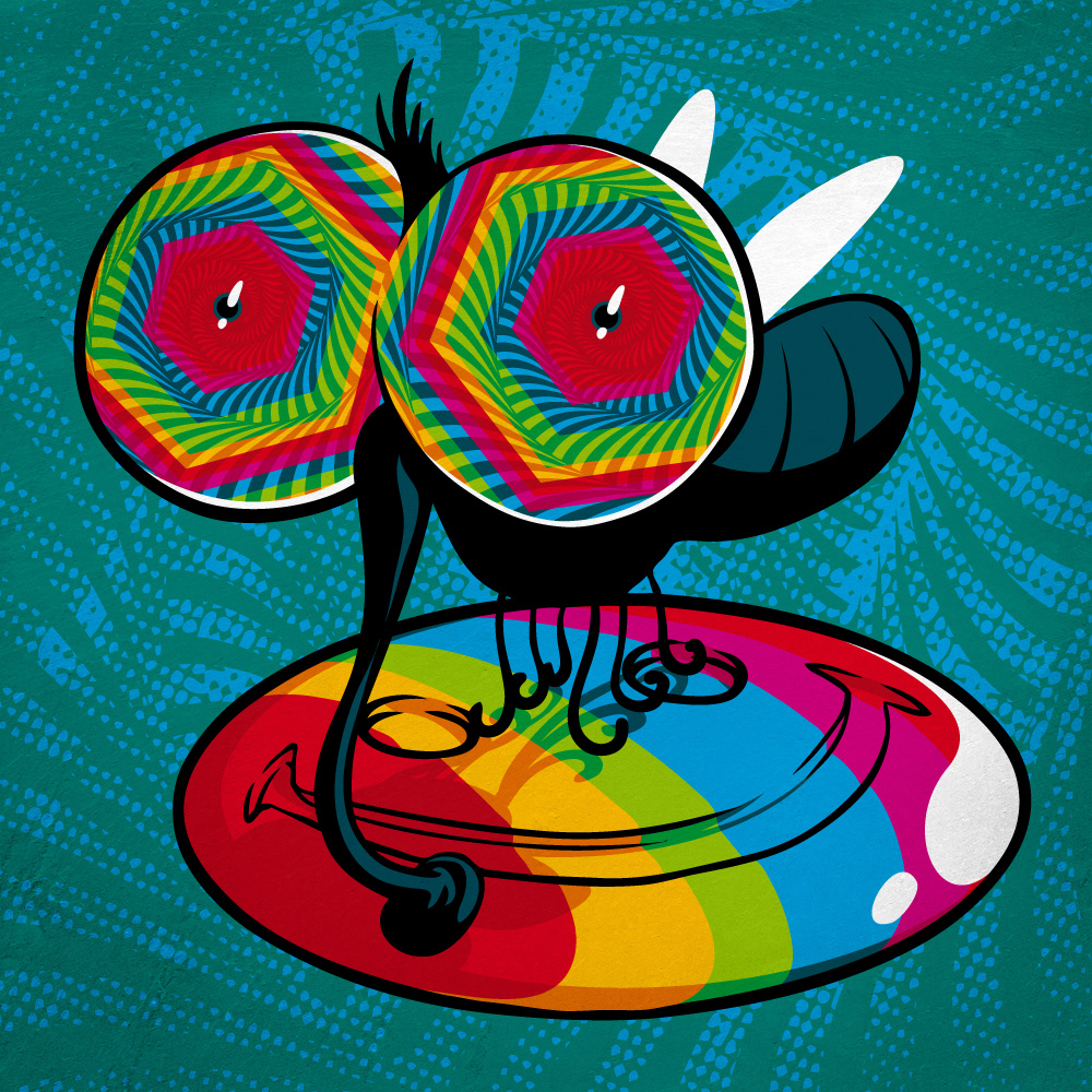 Fly rainbow drug vision lsd acid eyes