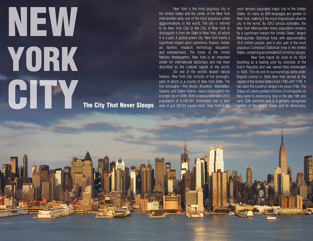 Metropolitan Area new york city