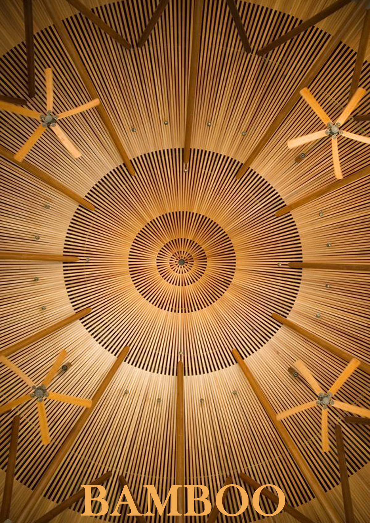 bamboo barstool furniture design
