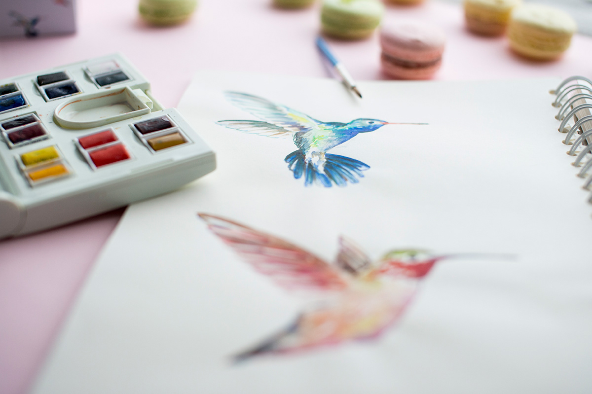 Adobe Portfolio macaron chez dodo hummingbird kolibri pattern watercolor sweet budapest Balazs Glodi