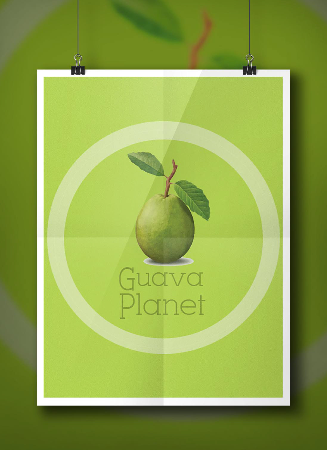 Guava Project