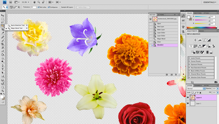 Designer Passport Shutterstock collage tutorial