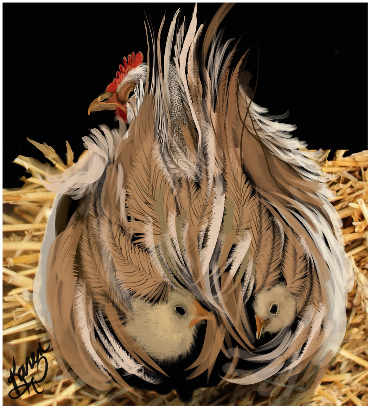Digital Art  digital painting Drawing  illustrations animals birds chicken