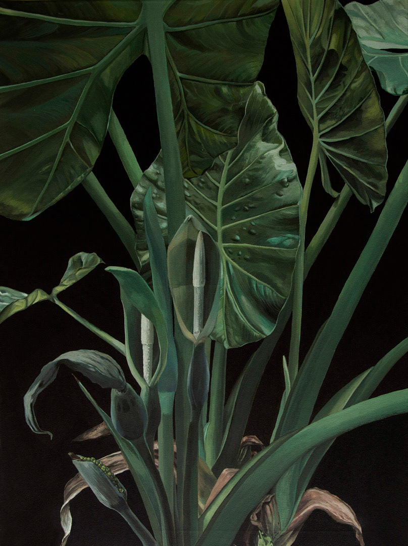 Alocasia acrylic painting on canvas by Clarissa P. Valaeys