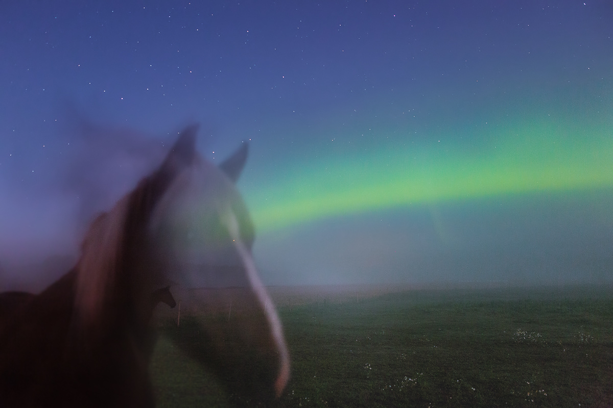 animals finland horses Landscape long exposure moonlight night night photography Northern Lights Photography 