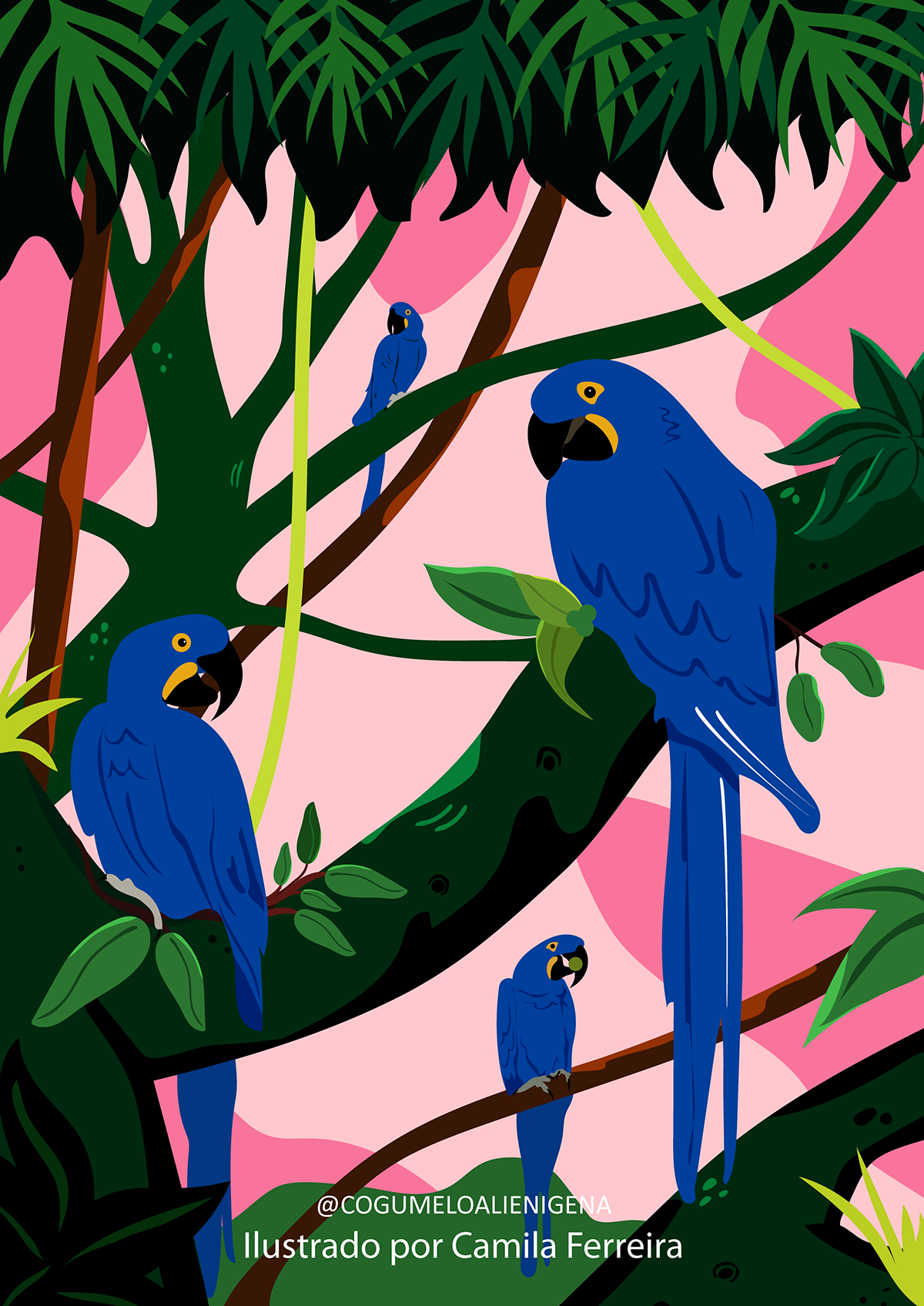 amazonia Brasil design gráfico fauna ILLUSTRATION  Ilustração pantanal poster tucano vetor