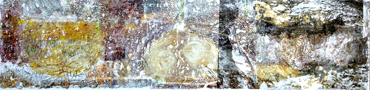 Booklet book wood livre livret bois texture transfert acetone Bookbinding reliure olive arbre Tree 