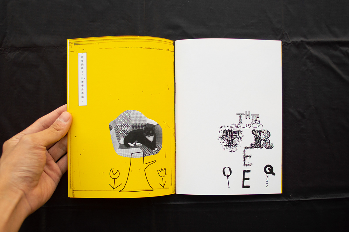 book cover design graphic book typography   Zine 