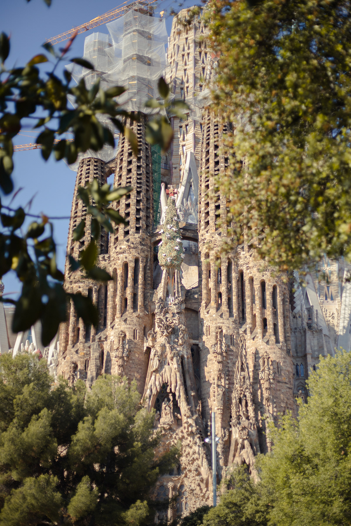 Gaudi cathedral sagrada familia barcelona architettura art