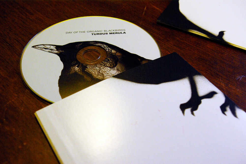 bird cd LP cover record black White cut-out stencil spraypaint hand made