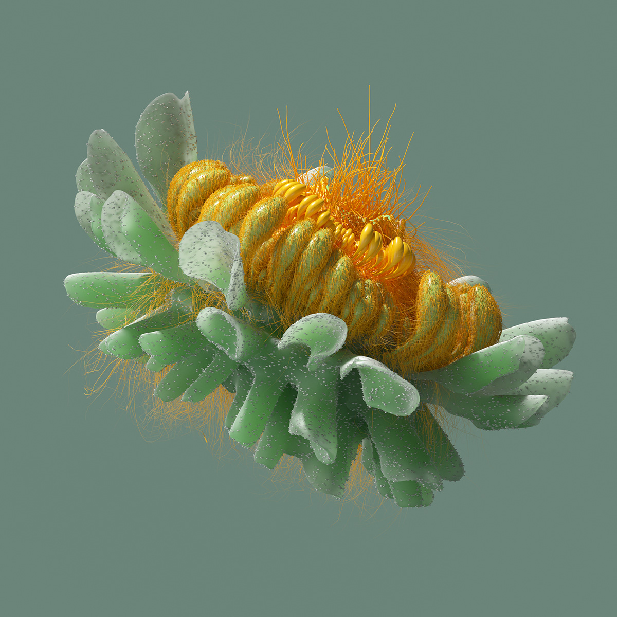 c4d flower motion cinema4d 3D graphics setdesign abstract organic Nature