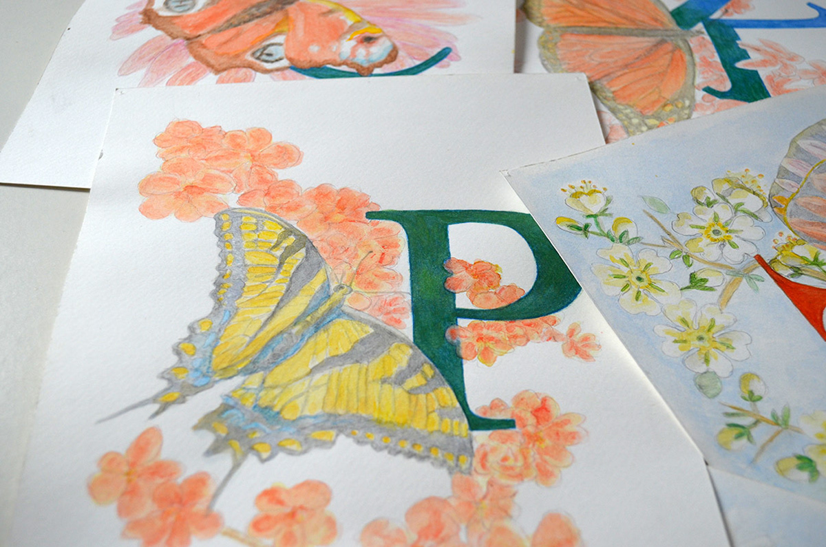 initials letters Calligraphy   Kaligrafija Flowers butterfly aquarelle Julia Doria ILLUSTRATION  typography  