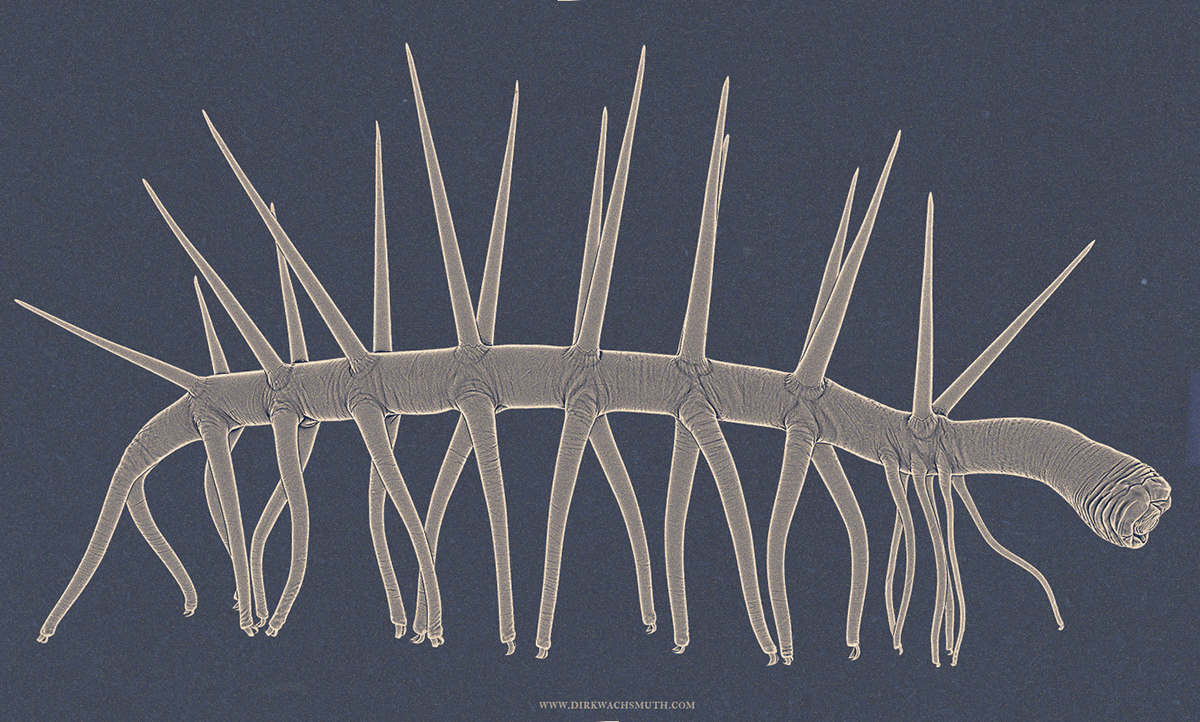 Fossil Euplectella aspergillum burgess shale cambrian paleo paleontologic biology hallucigenia Primordial reconstruction creature 3D visualisation scientific illustration
