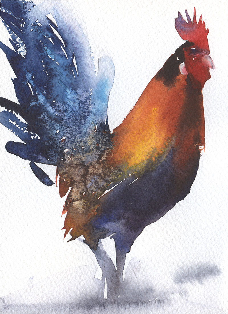 watercolor paper Rooster fine art symbol of 2017