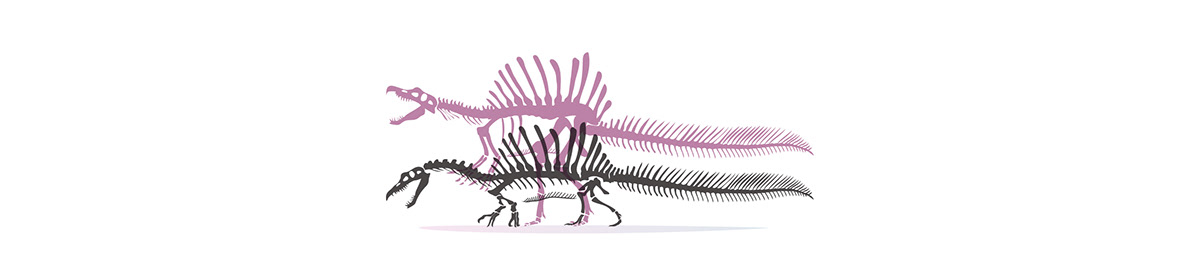 children illustration dinos Dinosaurios dinosaurs editorial educational ILLUSTRATION  ilustracion t-rex triceratops