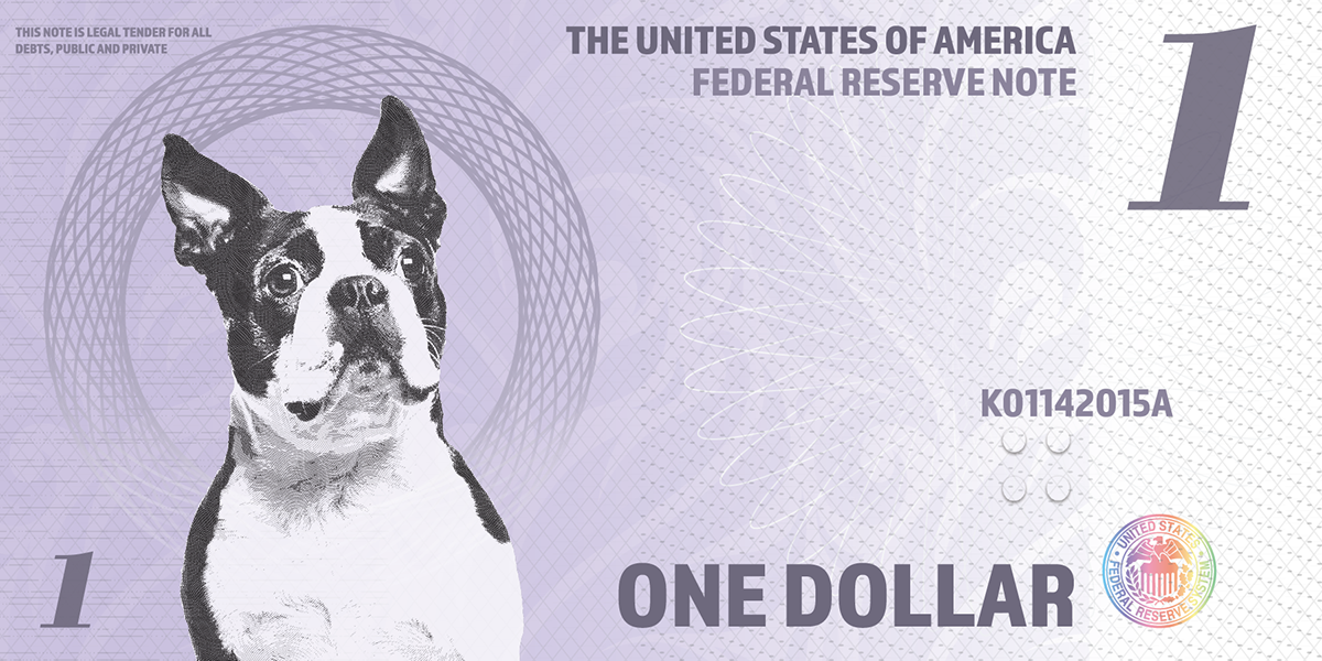 money currency dogs dog Money Redesign boston terrier malamute chesapeakebayretriever dollar