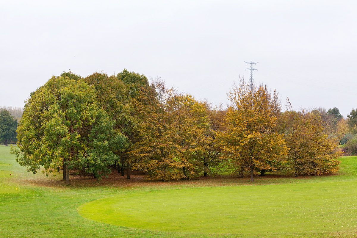 Adobe Portfolio Photography  naturephotography landscapephotography autumn golf