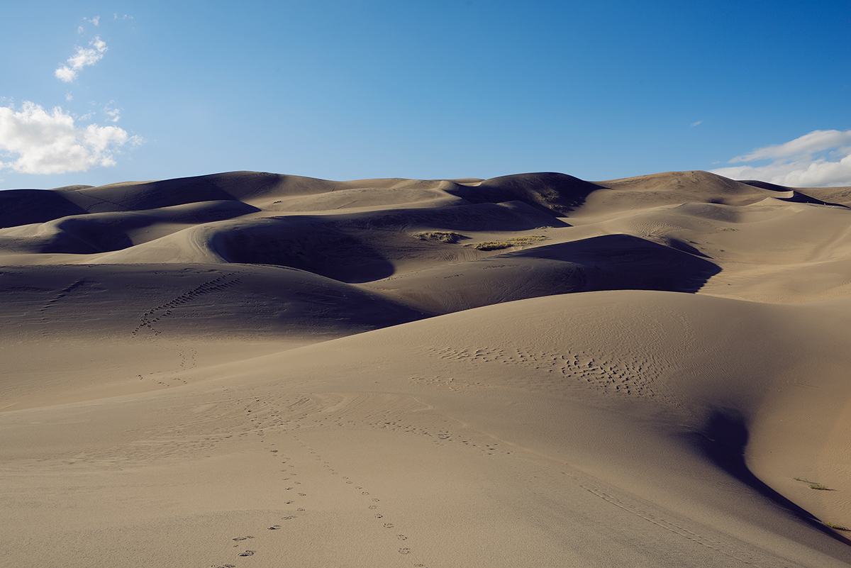 dunes sand National Park Colorado Landscape desert